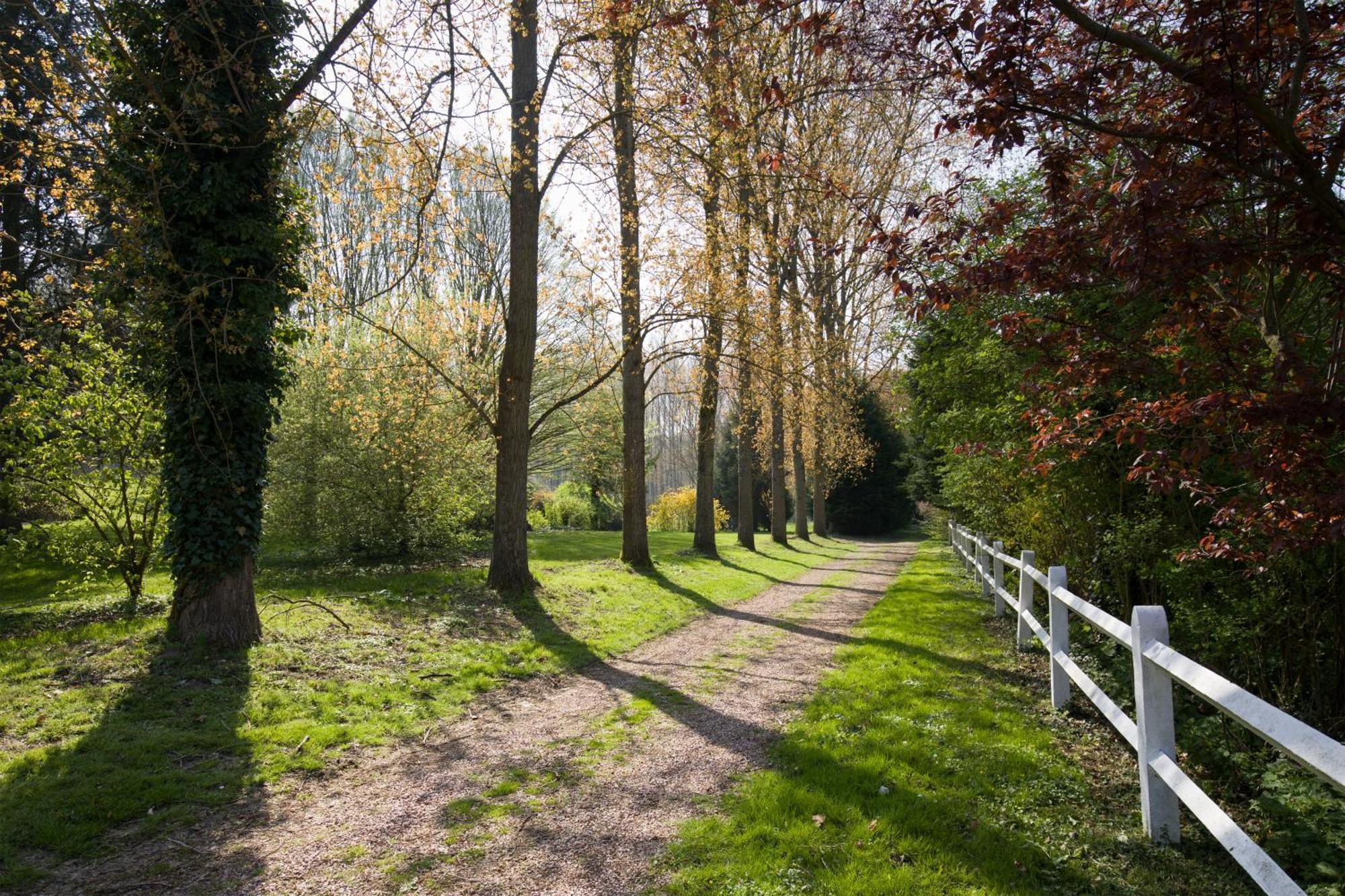 La Maison Des Chevaux Eu (Seine-Maritime) Exteriör bild